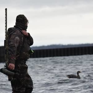 Meet your Posher, Preston